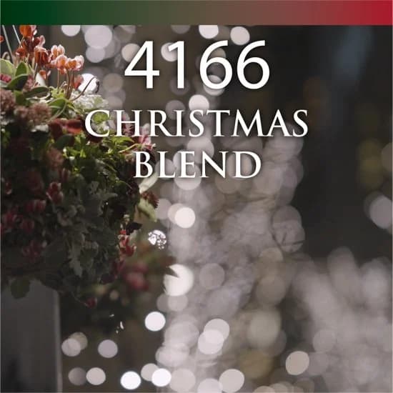紅茶 4166クリスマスブレンド