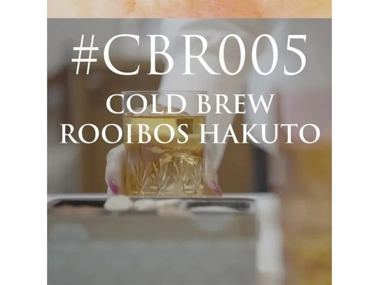 紅茶 CBR005 コールドブリュールイボス 白桃 7P